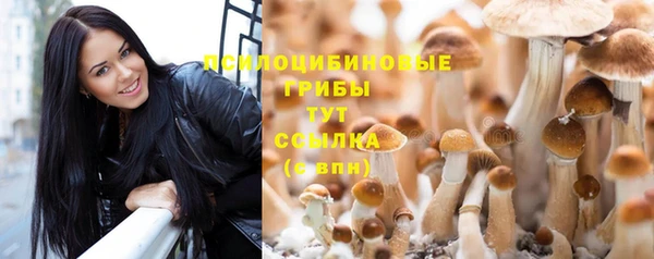 MDMA Пересвет