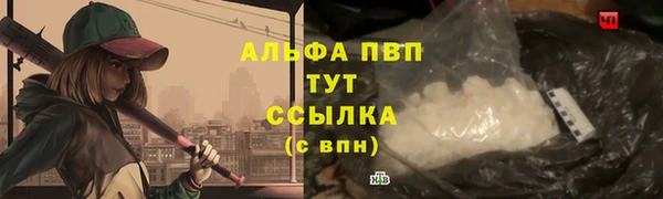 ECSTASY Покровск
