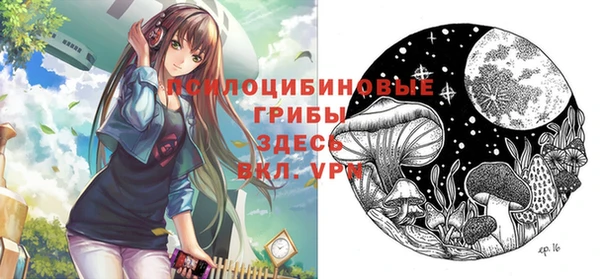 apvp Покачи
