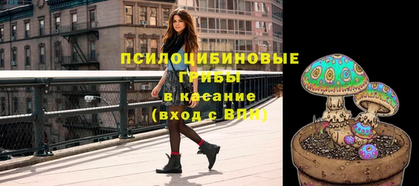 apvp Покачи