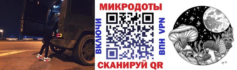 Галлюциногенные грибы Psilocybe  Советская Гавань 